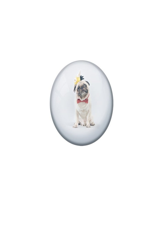 AVI Pin Badges Metal Multi with 5 in 1 I Love My Dog Design Badges Metal 6 cm Size R8000030 - Image 5